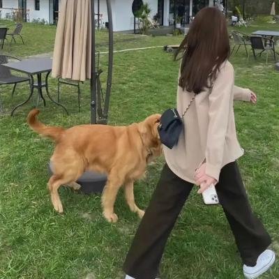 角落小伙伴2